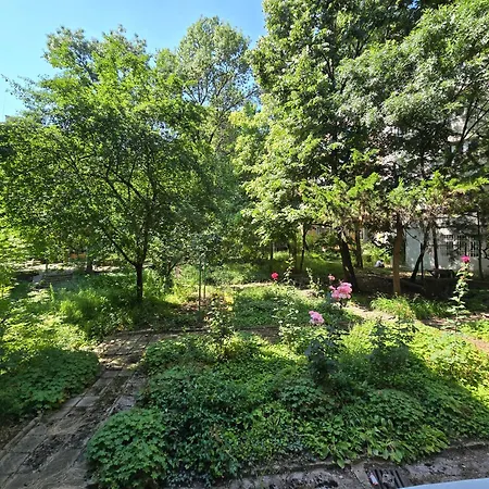 Dom Knipituga * Sofia