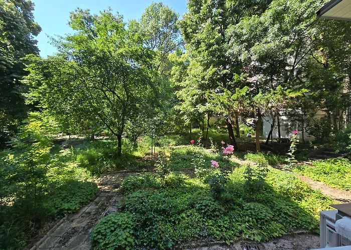 Dom Knipituga * Sofía